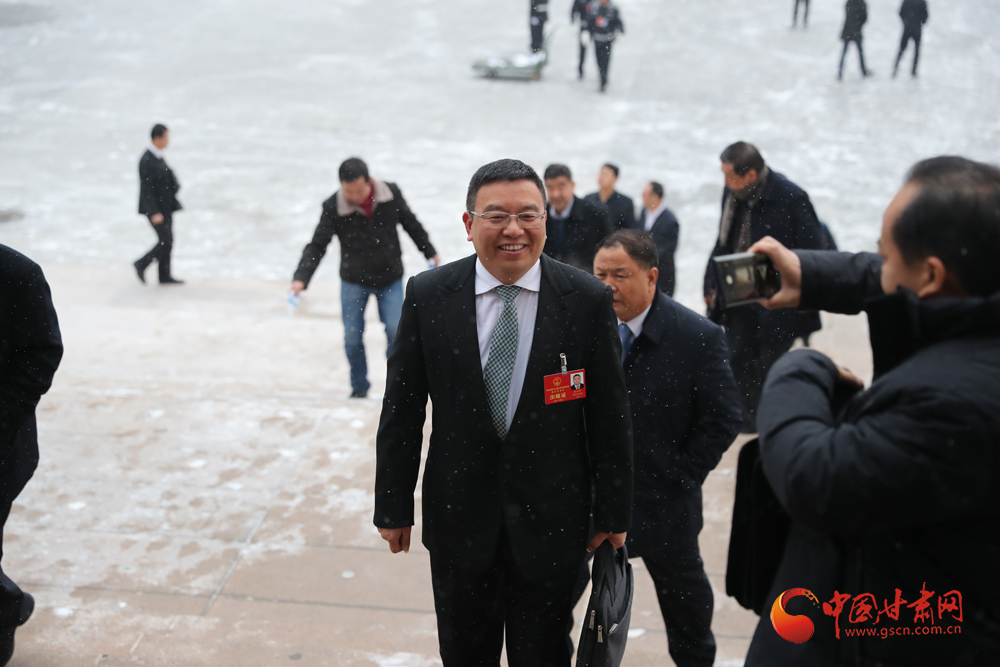 【聚焦2020甘肅兩會】“兩會”代表、委員風采掠影（組圖）