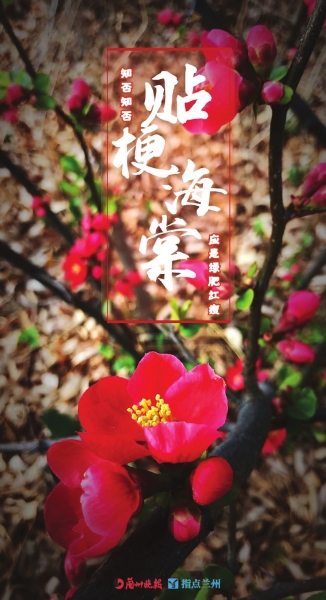 來，跟這些美美的花朵認識一下！