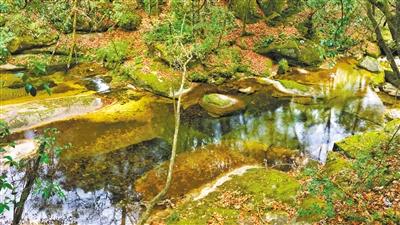 甘肅旅游丨八福溝，西秦嶺深處的水韻秘境