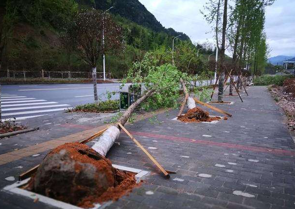 刮風(fēng)下雨加速新冠病毒傳播？別信！