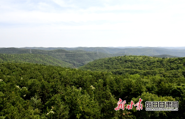 【甘肅生態(tài)環(huán)保媒體行】子午嶺深處，一家三代人用生命守護(hù)黃土高原的“天然生態(tài)屏障”