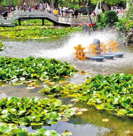 走，到五泉山公園看花展去