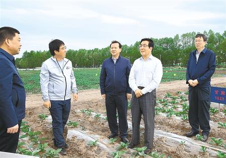 林鐸在天?？h調(diào)研指導(dǎo)脫貧攻堅工作時強調(diào)  拉開架勢持續(xù)用力構(gòu)建扶貧產(chǎn)業(yè)體系 多措并舉固強補弱鞏固提升脫貧成果
