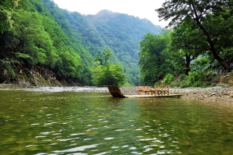 【小隴畫報(bào)·95期】康縣：來(lái)陽(yáng)壩，“森”呼吸，我“氧”你