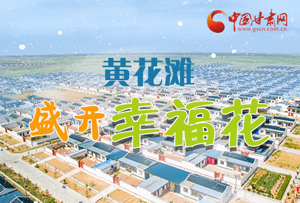 【跟著總書記看甘肅】長圖|武威黃花灘盛開幸?；?