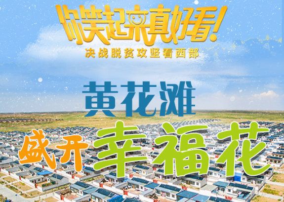 【你笑起來真好看】黃花灘盛開幸?；ǎ▓D解）