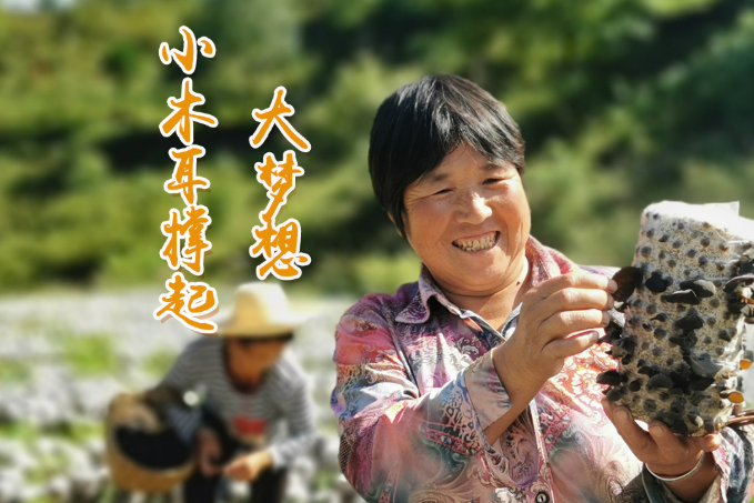 海報丨他們，乘“豐”破浪！