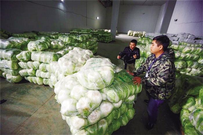 蘭州市已儲備1萬噸冬春蔬菜以耐貯存、易周轉(zhuǎn)品種為主