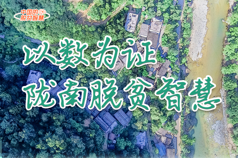 【中國的脫貧智慧】以數(shù)為證！隴南脫貧智慧來了！