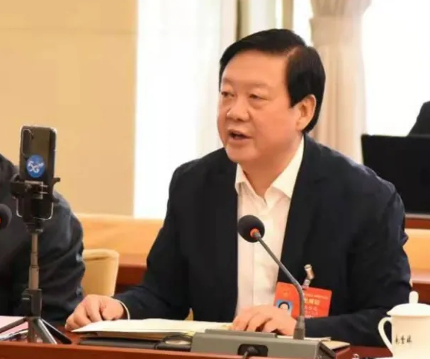 【聚焦2021全國兩會】全國人大代表、市委書記楊維俊接受中國日報記者采訪