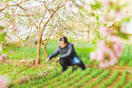 甘肅：時令催人耕種忙，不誤田間一季春