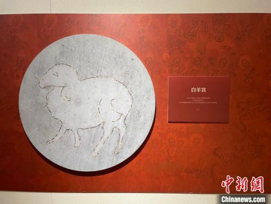 圖為展覽現(xiàn)場(chǎng)?！〗瓧顭?攝