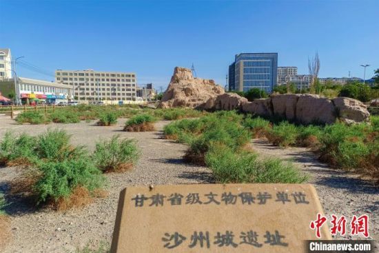圖為沙州郡城遺址公園古遺址。　王斌銀 攝