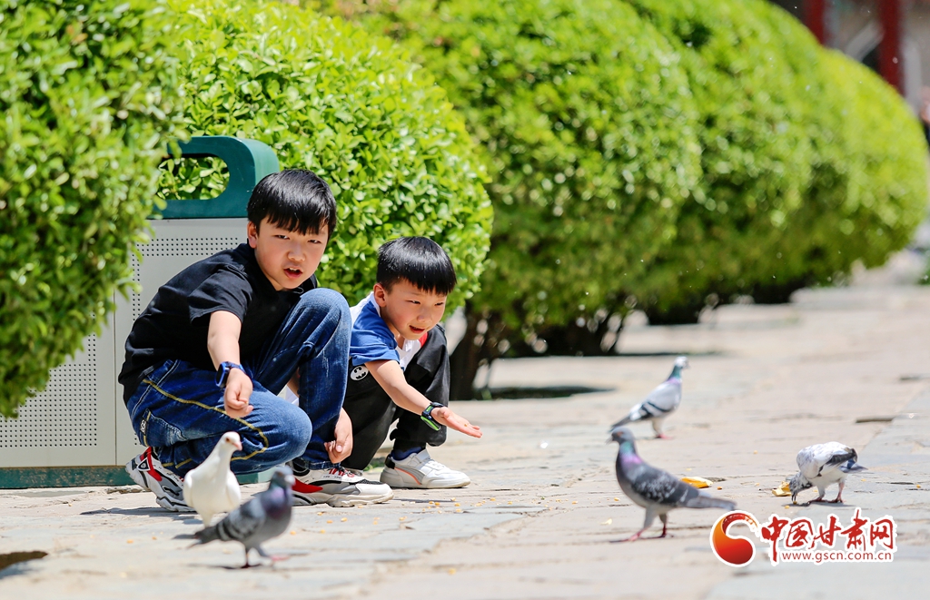 蘭州城區(qū)693條小街巷線(xiàn)纜開(kāi)啟“入地模式”