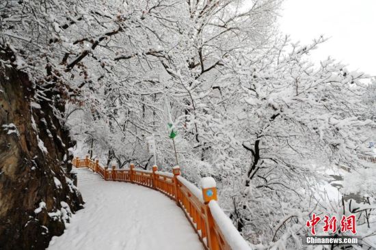 圖為上山的石階被雪覆蓋。張?zhí)鞂?攝