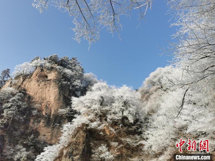 圖為藍(lán)天下霧凇籠罩山脈。　徐振華 攝