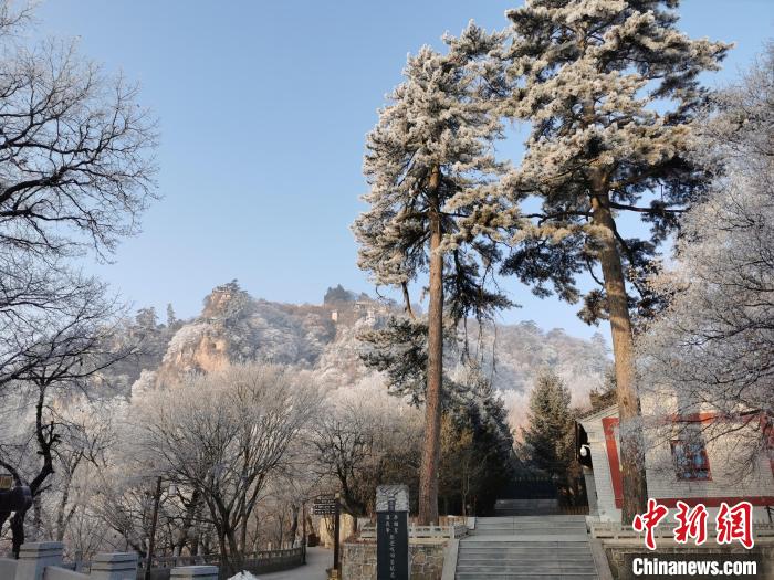 圖為崆峒山霧凇景色美不勝收?！⌒煺袢A 攝