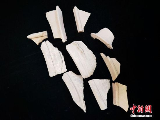 圖為靜寧縣賈河鄉(xiāng)竇坪村出土的彩陶片、紅陶片。 夏劍鋒 攝