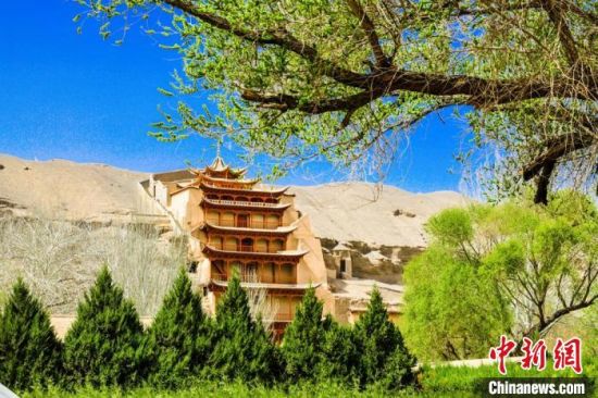 4月的敦煌莫高窟景區(qū)春意盎然。(資料圖) 王斌銀 攝