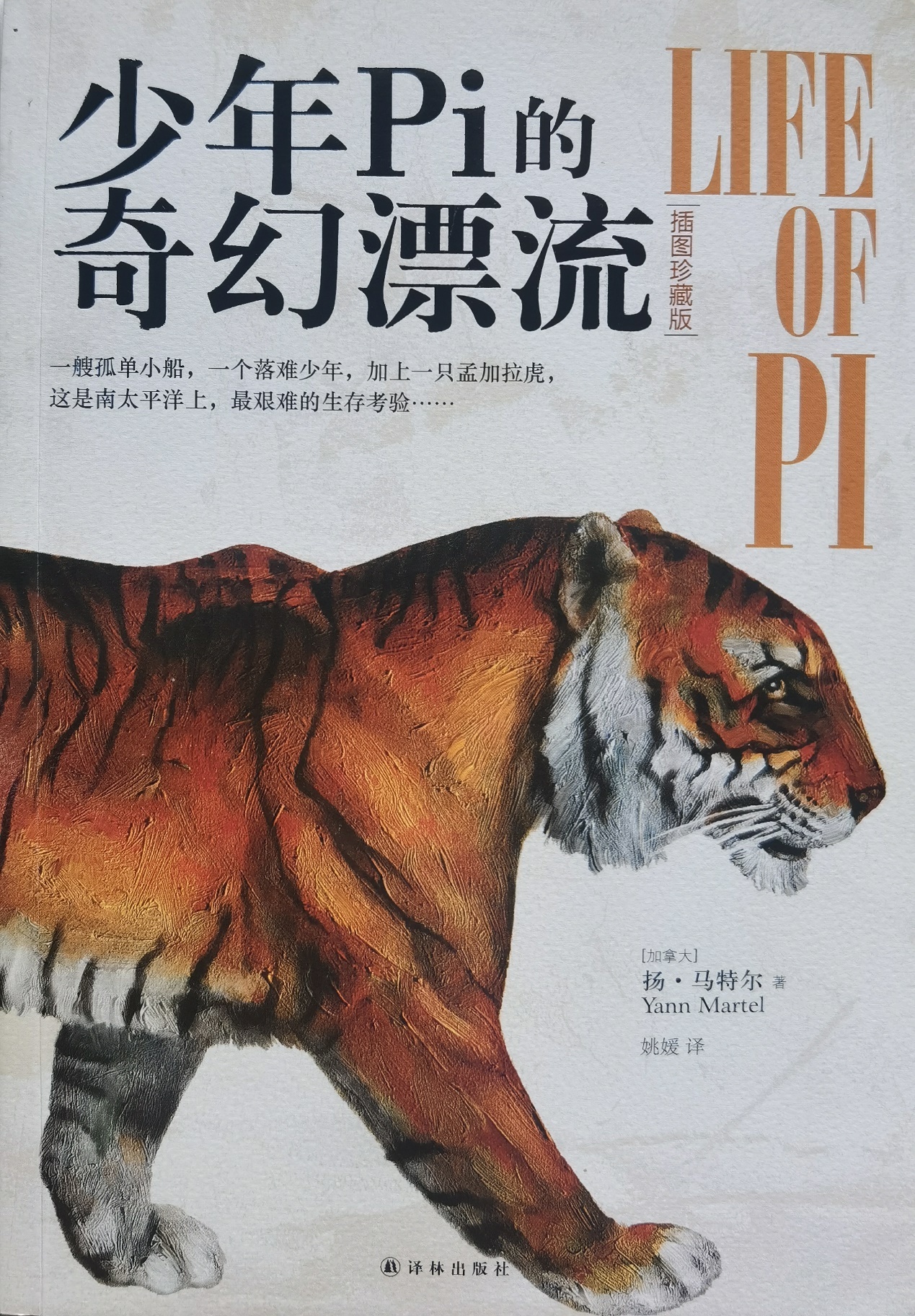 插圖1：揚？馬特爾的小說《少年pi的奇幻漂流》封面