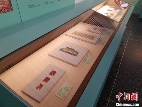 圖為展覽現(xiàn)場?！《鼗脱芯吭汗﹫D