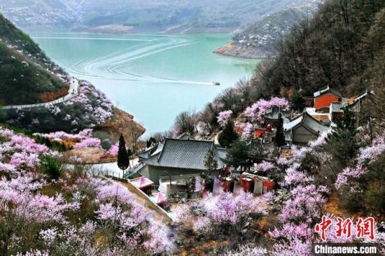 甘肅平?jīng)鍪惺侵袊鴥?yōu)秀旅游城市。圖為平?jīng)鲠轻忌较率锾一ㄊ㈤_。(資料圖) 平?jīng)鍪形麄鞑抗﹫D