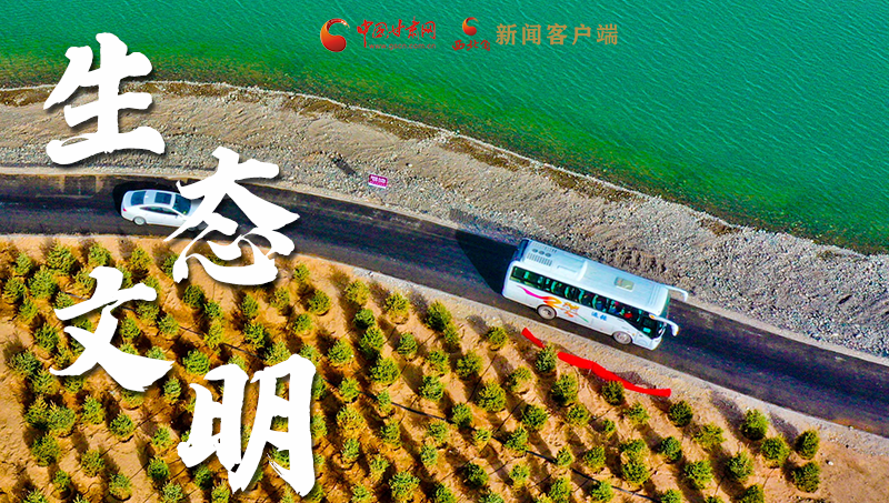 彈幕海報丨熱議甘肅省委十三屆十六次全會 網(wǎng)民聲音在回響！