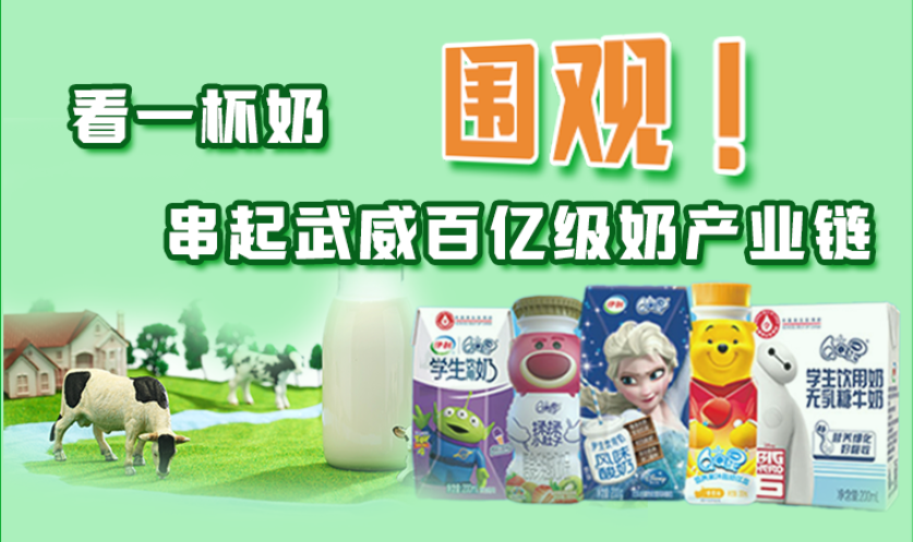 圖解|圍觀！看一杯奶串起武威百億級奶產(chǎn)業(yè)鏈