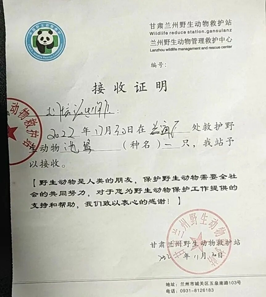受到救助的池鷺被蘭州野生動物保護站接收。（蘭州市公安局七里河分局供圖）