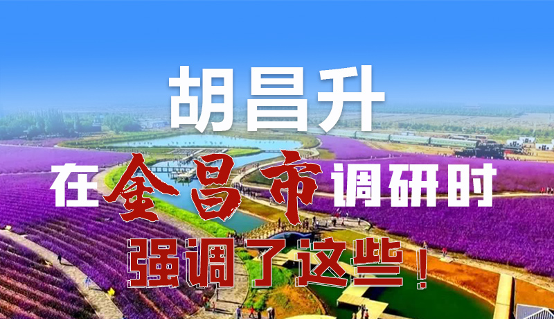 圖解|胡昌升在金昌市調(diào)研時強調(diào)了這些！