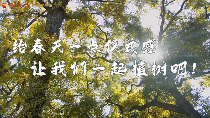 短視頻|給春天一點(diǎn)儀式感，讓我們一起植樹吧！