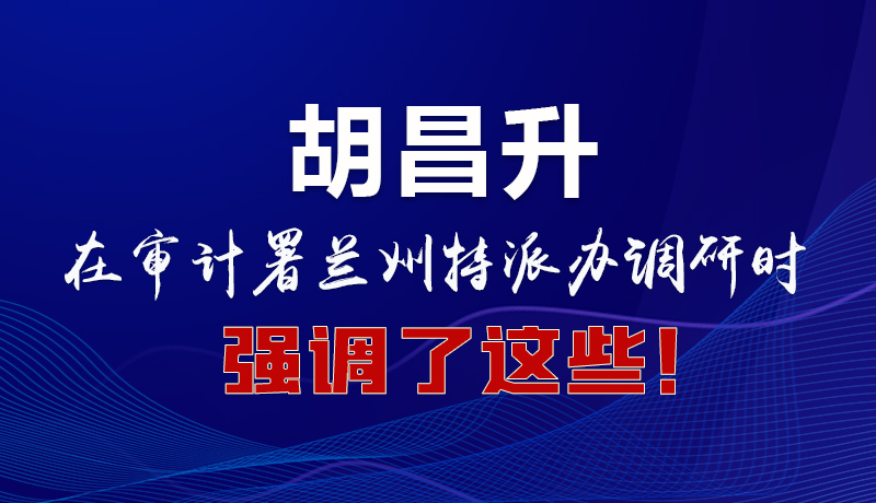 圖解|胡昌升在審計署蘭州特派辦調(diào)研時強調(diào)了這些！
