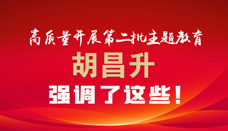 圖解|高質量開展第二批主題教育 胡昌升強調了這些！