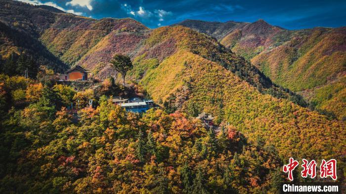 深秋，位于蘭州市榆中縣的興隆山，似打翻調(diào)色板。金峯 攝