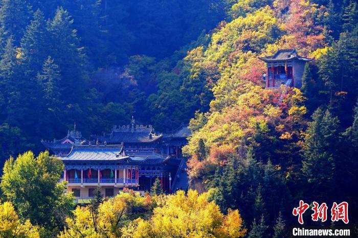 深秋，位于蘭州市榆中縣的興隆山景色如畫。宮衛(wèi)紅 攝