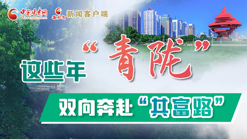 【江河奔流·青隴協(xié)作譜新篇】這些年，“青隴”雙向奔赴“共富路”