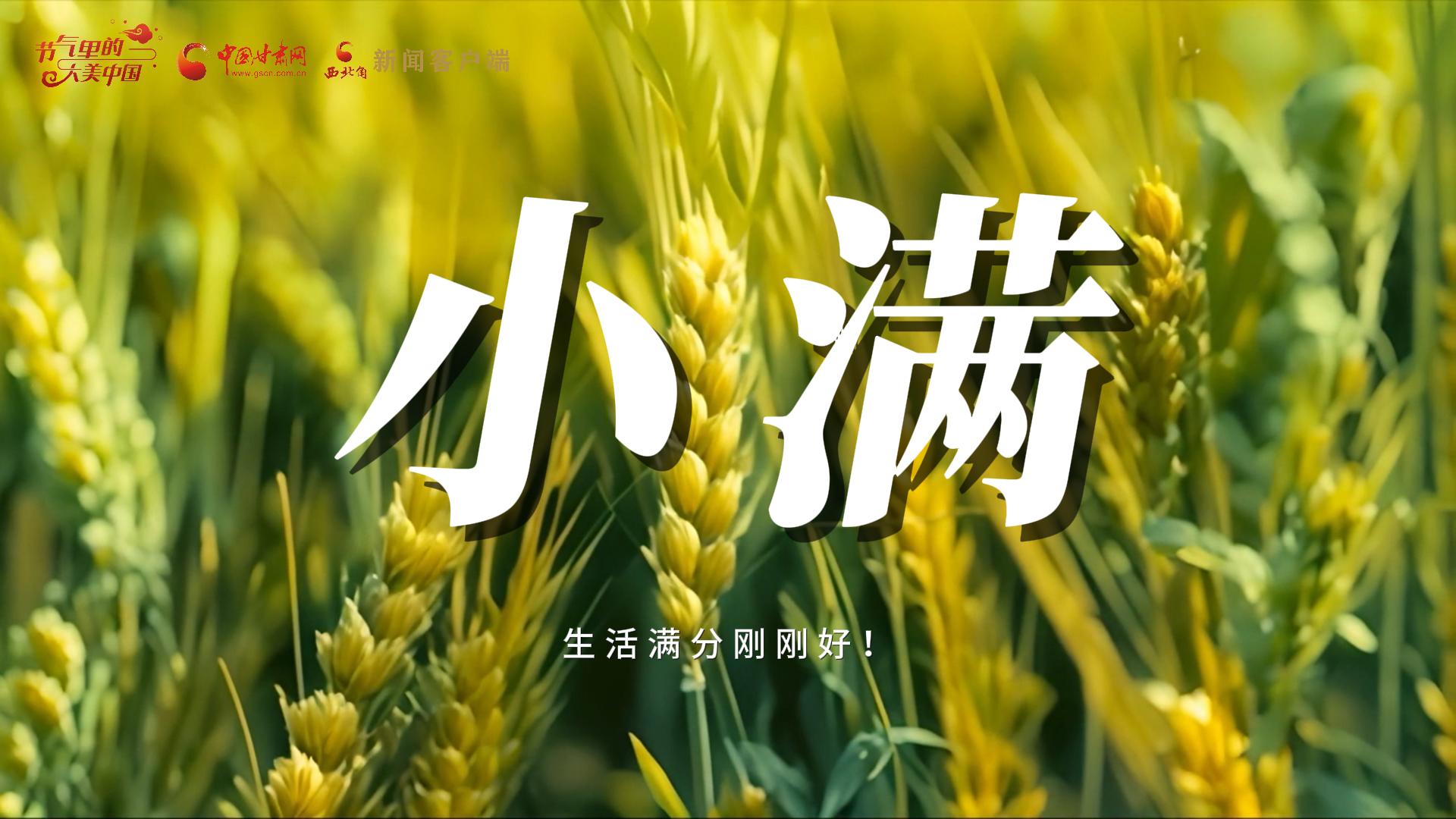 【節(jié)氣里的大美甘肅·小滿】生活滿分剛剛好！