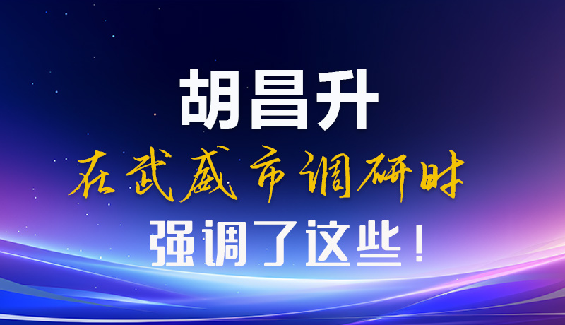 圖解|胡昌升在武威市調(diào)研時強(qiáng)調(diào)了這些！
