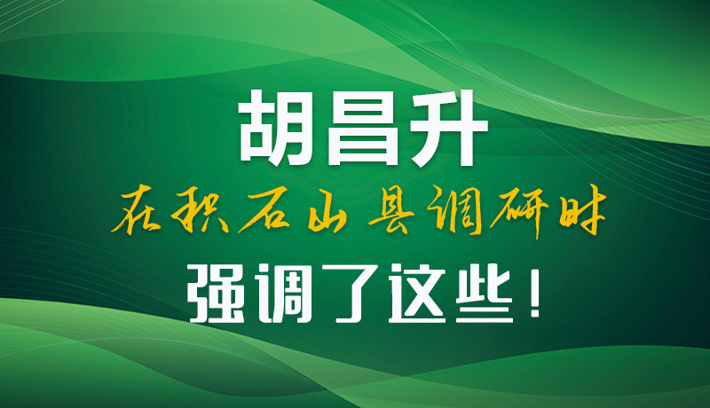 圖解|胡昌升在積石山縣調(diào)研時強調(diào)了這些！