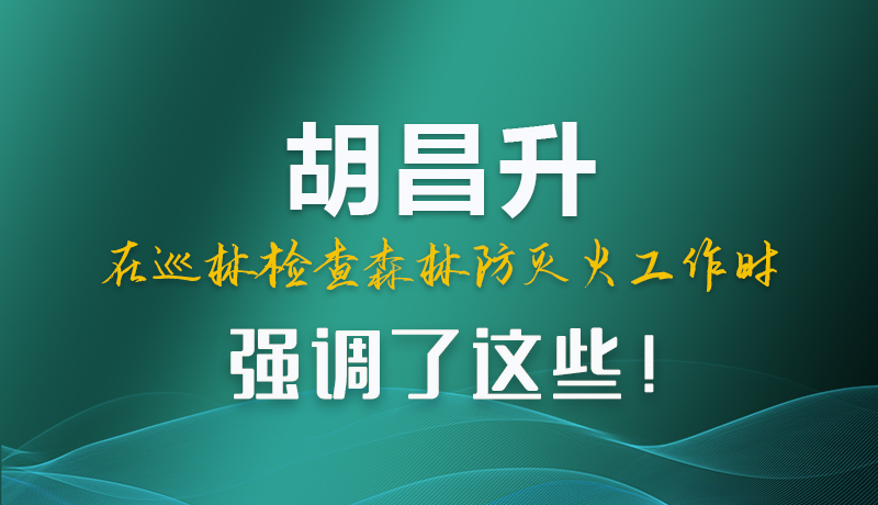圖解|胡昌升在巡林檢查森林防滅火工作時(shí)強(qiáng)調(diào)了這些！