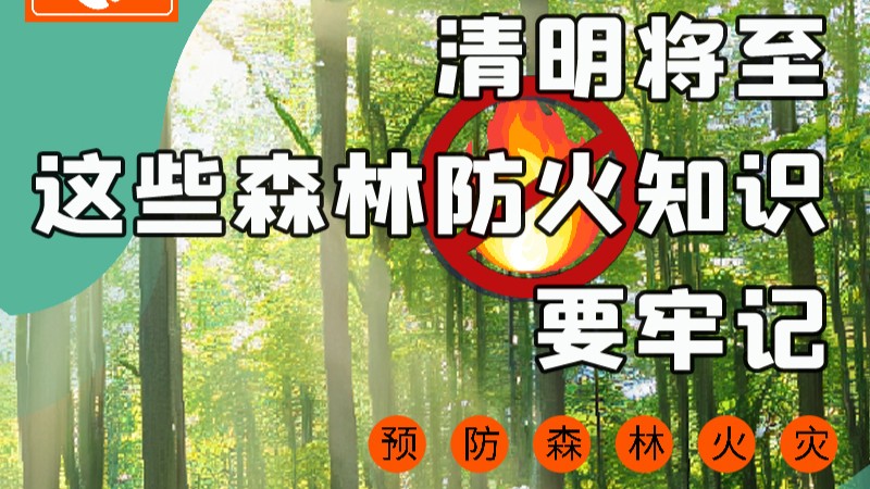 【甘快看】圖解|緊繃“安全弦”！清明，這些森林防火知識要牢記